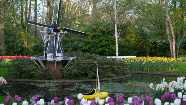 Amsterdam Day Trips Guide